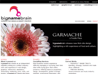 bignamebrain. Interactive Design and Smart Creative
