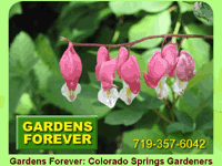 Gardens Forever: Colorado Springs' most beautiful gardens