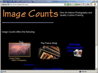 Image Counts