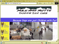 Mile High Mutts Doggie Day Care