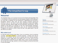 The Amplified Group