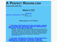 The Perfect Resume Writer