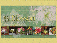 The Blossom Shop