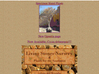Living Stones Nursery
