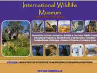 The International Wildlife Museum