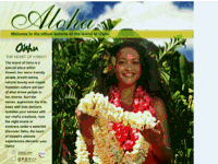 Oahu Visitors Bureau