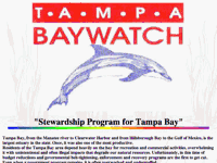 Webcoast: Tampa Baywatch